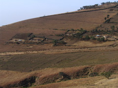 Maasai settlement